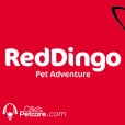 New brand Red Dingo joins our boutique!