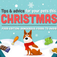 Tips & Advice for your pets this Christmas: Food Edition!